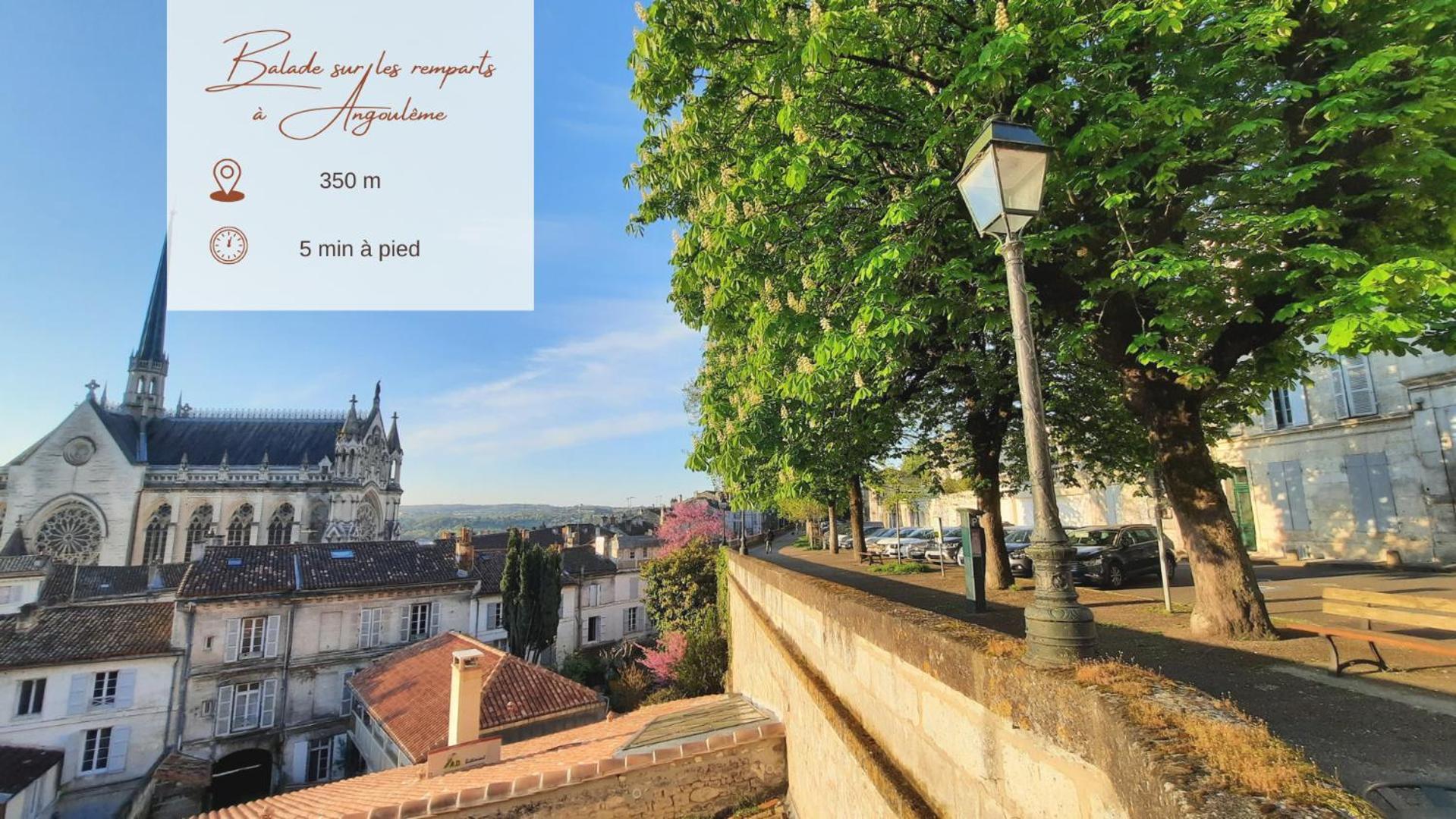 Face A L'Hotel De Ville Grand Et Lumineux Appartement Ангулем Экстерьер фото